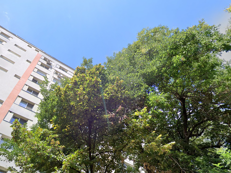 Colentina x Doamna Ghica, 5 min. Parcul Plumbuita.